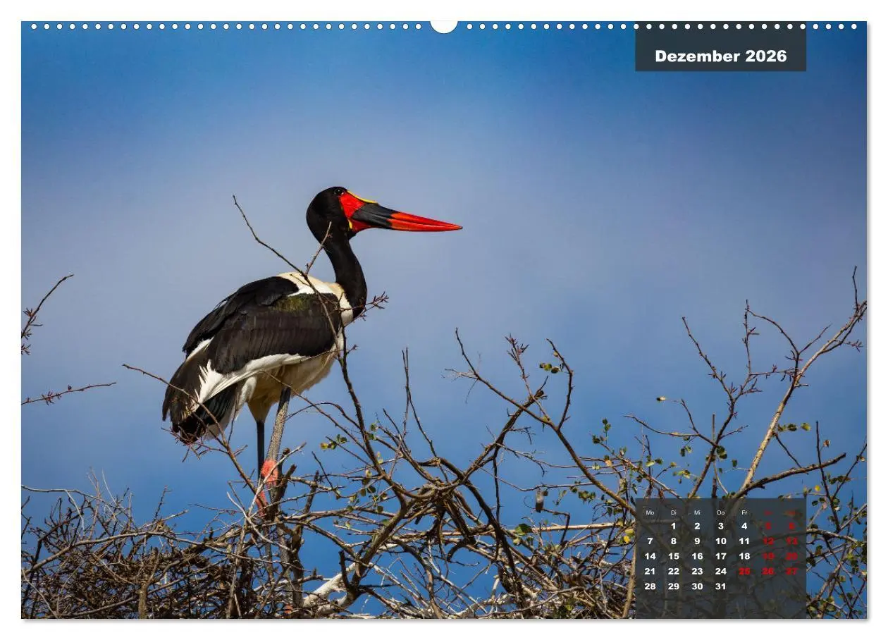Bild: 9783457447963 | Die bunte Vogelwelt im Kruger National Park (hochwertiger Premium...