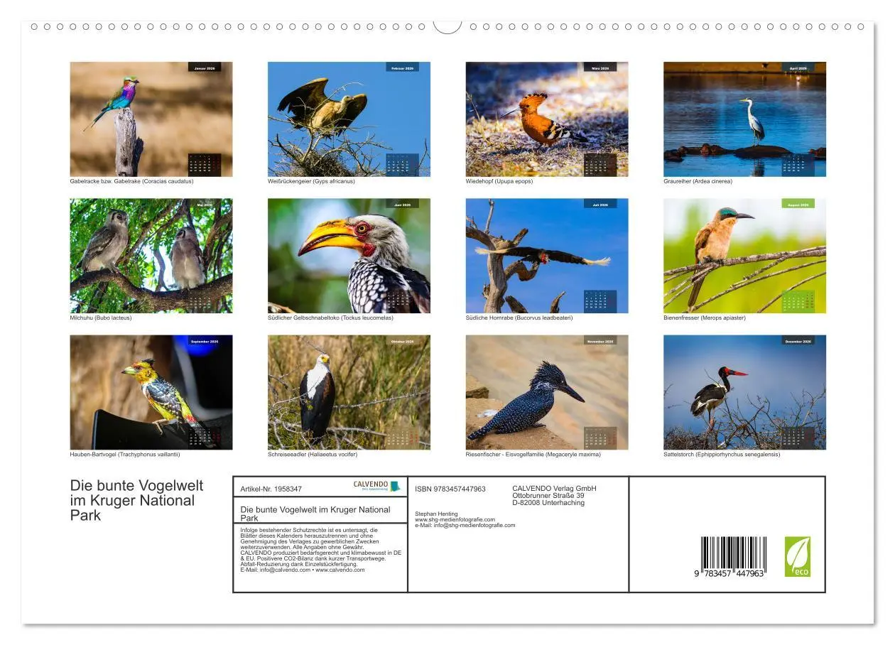 Bild: 9783457447963 | Die bunte Vogelwelt im Kruger National Park (hochwertiger Premium...