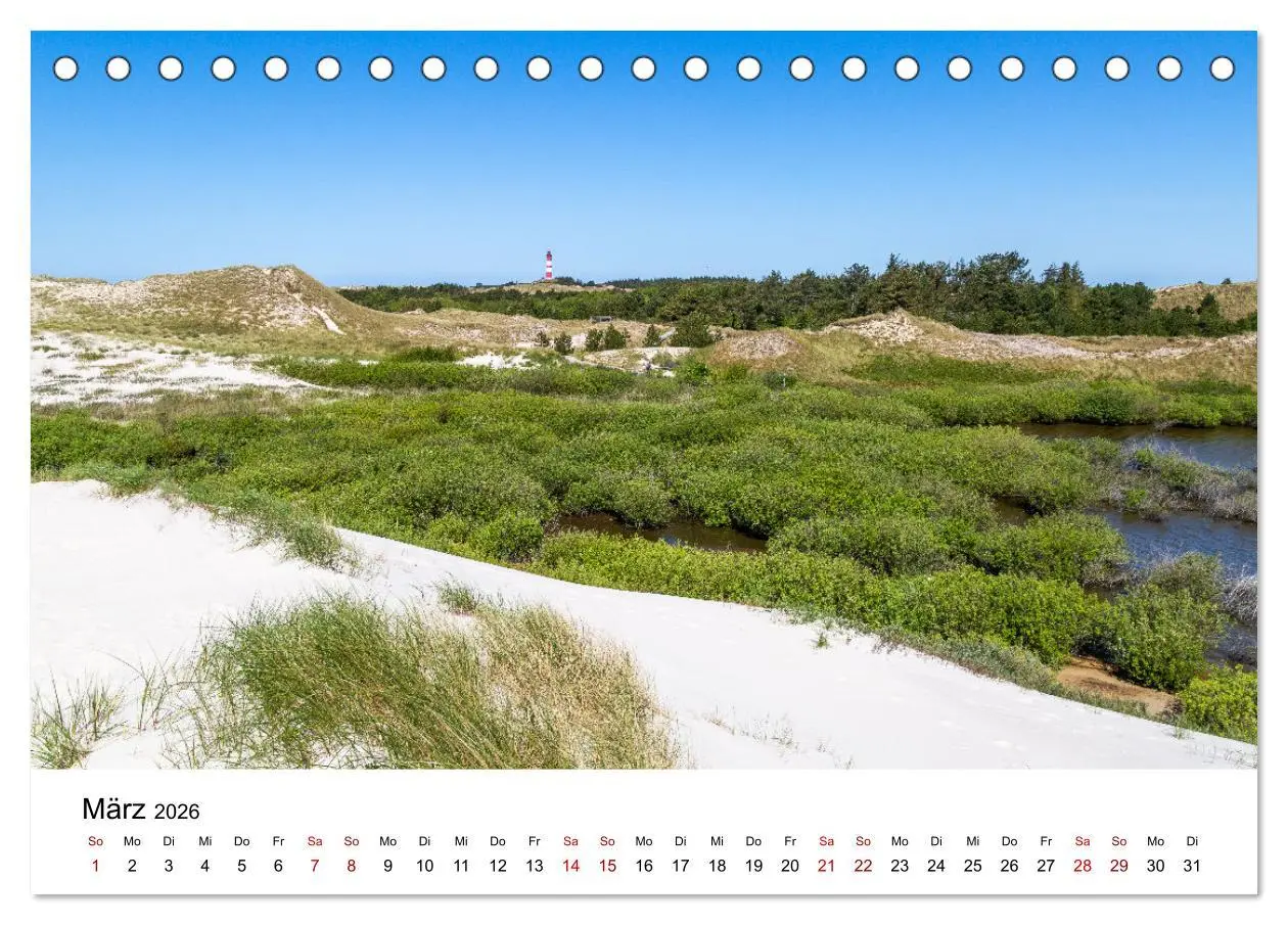 Bild: 9783457517963 | Amrum - Das Paradies in der Nordsee (Tischkalender 2026 DIN A5...