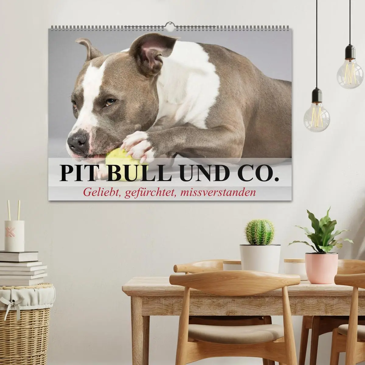 Bild: 9783516118063 | Pit Bull und Co. - Geliebt, gefürchtet, missverstanden...