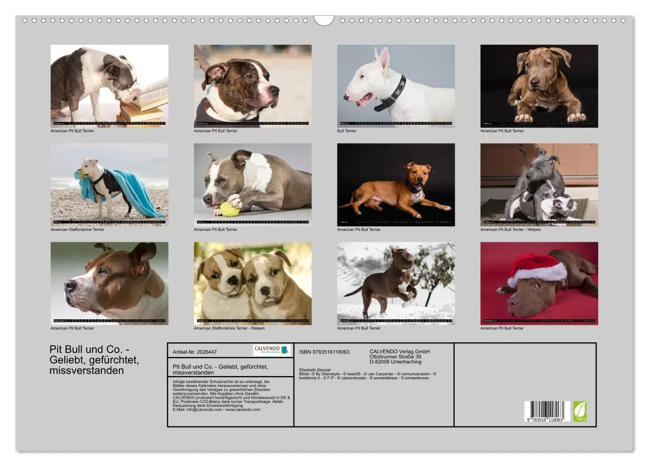 Bild: 9783516118063 | Pit Bull und Co. - Geliebt, gefürchtet, missverstanden...