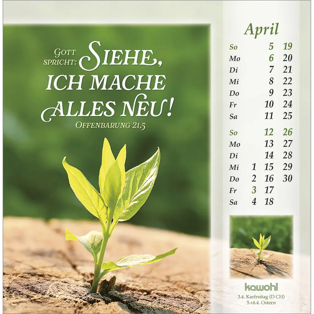 Bild: 9783754888063 | Licht vom unerschöpften Lichte 2026 | Kalender | Spiralbindung | 14 S.