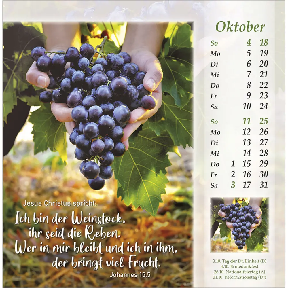 Bild: 9783754888063 | Licht vom unerschöpften Lichte 2026 | Kalender | Spiralbindung | 14 S.