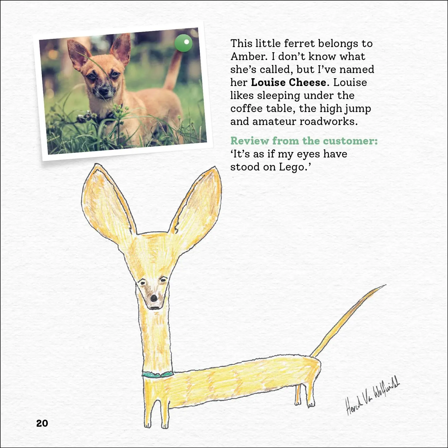 Bild: 9780008468163 | Rubbish Pet Portraits | Hercule van Wolfwinkle | Buch | Englisch