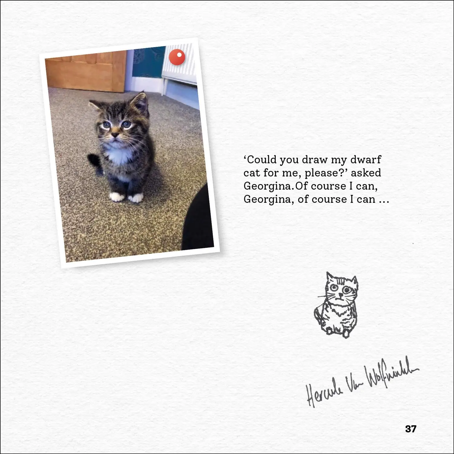 Bild: 9780008468163 | Rubbish Pet Portraits | Hercule van Wolfwinkle | Buch | Englisch