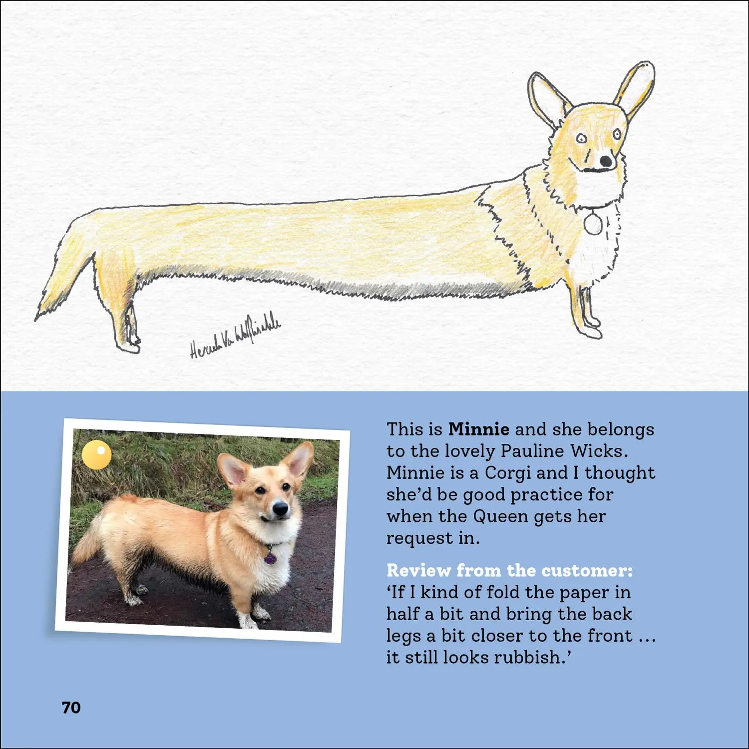 Bild: 9780008468163 | Rubbish Pet Portraits | Hercule van Wolfwinkle | Buch | Englisch