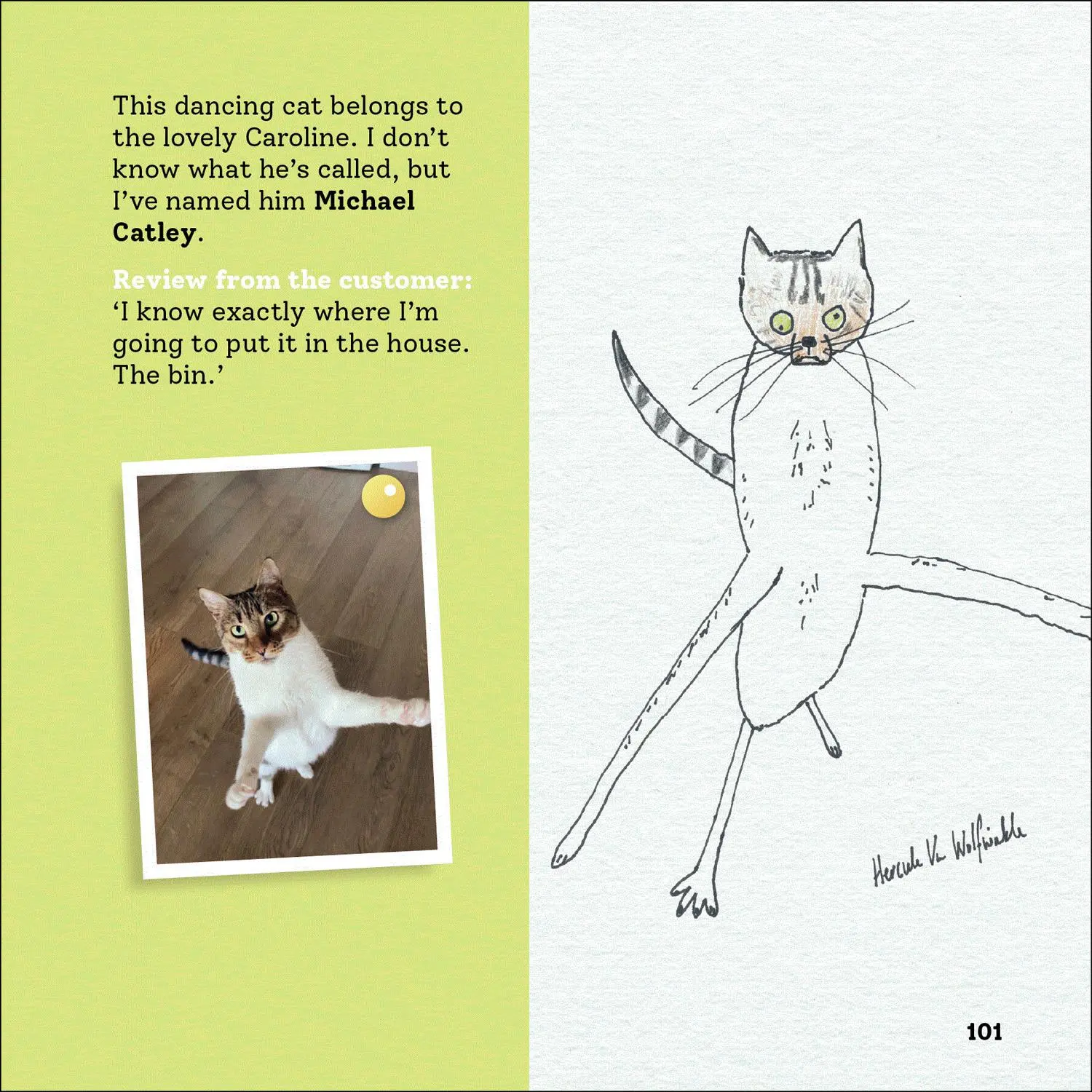 Bild: 9780008468163 | Rubbish Pet Portraits | Hercule van Wolfwinkle | Buch | Englisch