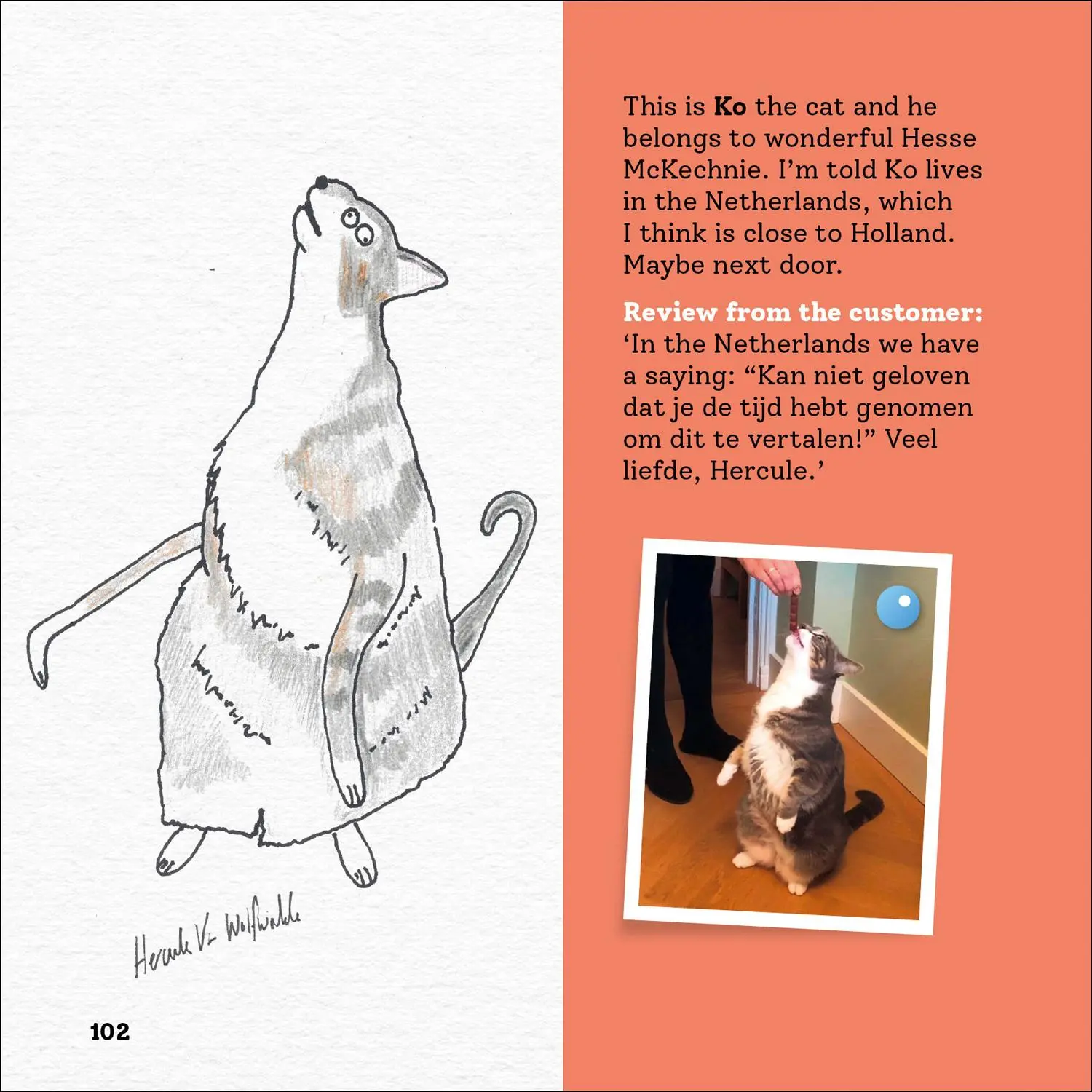 Bild: 9780008468163 | Rubbish Pet Portraits | Hercule van Wolfwinkle | Buch | Englisch