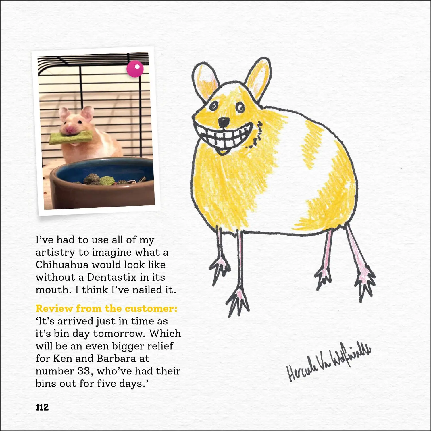 Bild: 9780008468163 | Rubbish Pet Portraits | Hercule van Wolfwinkle | Buch | Englisch