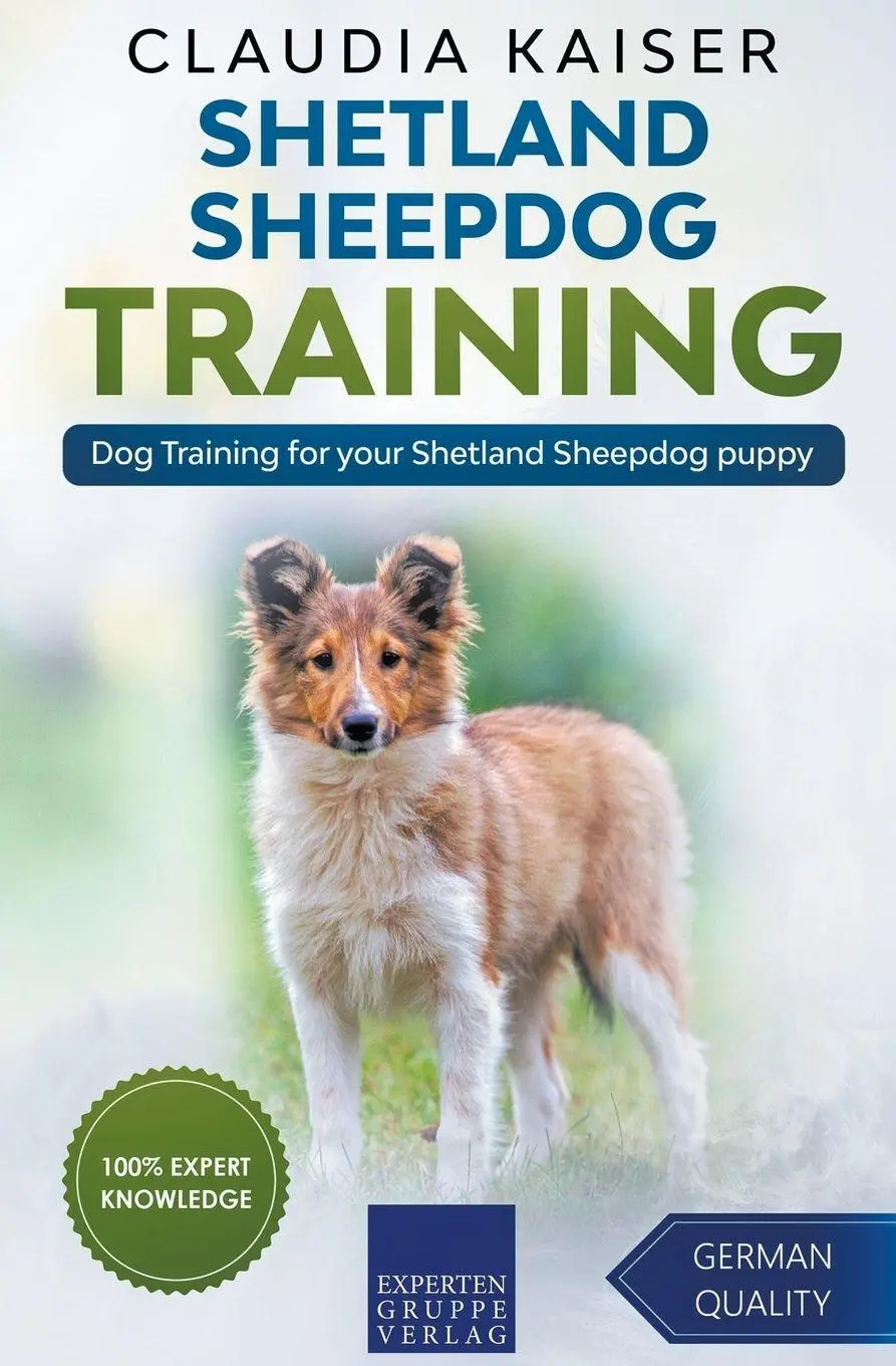 Cover: 9781393248163 | Shetland Sheepdog Training - Dog Training for your Shetland...