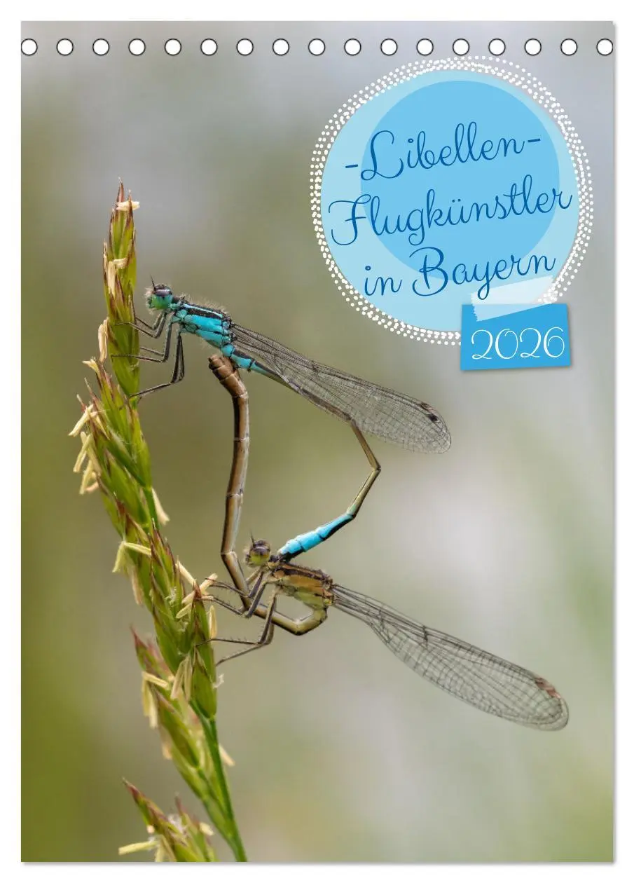 Cover: 9783457258163 | Libellen - Flugkünstler in Bayern (Tischkalender 2026 DIN A5 hoch),...