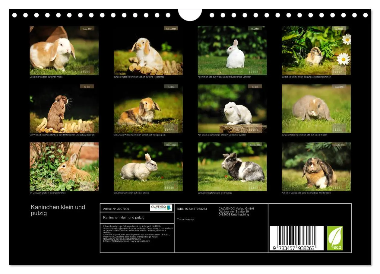 Bild: 9783457938263 | Kaninchen klein und putzig (Wandkalender 2026 DIN A4 quer),...