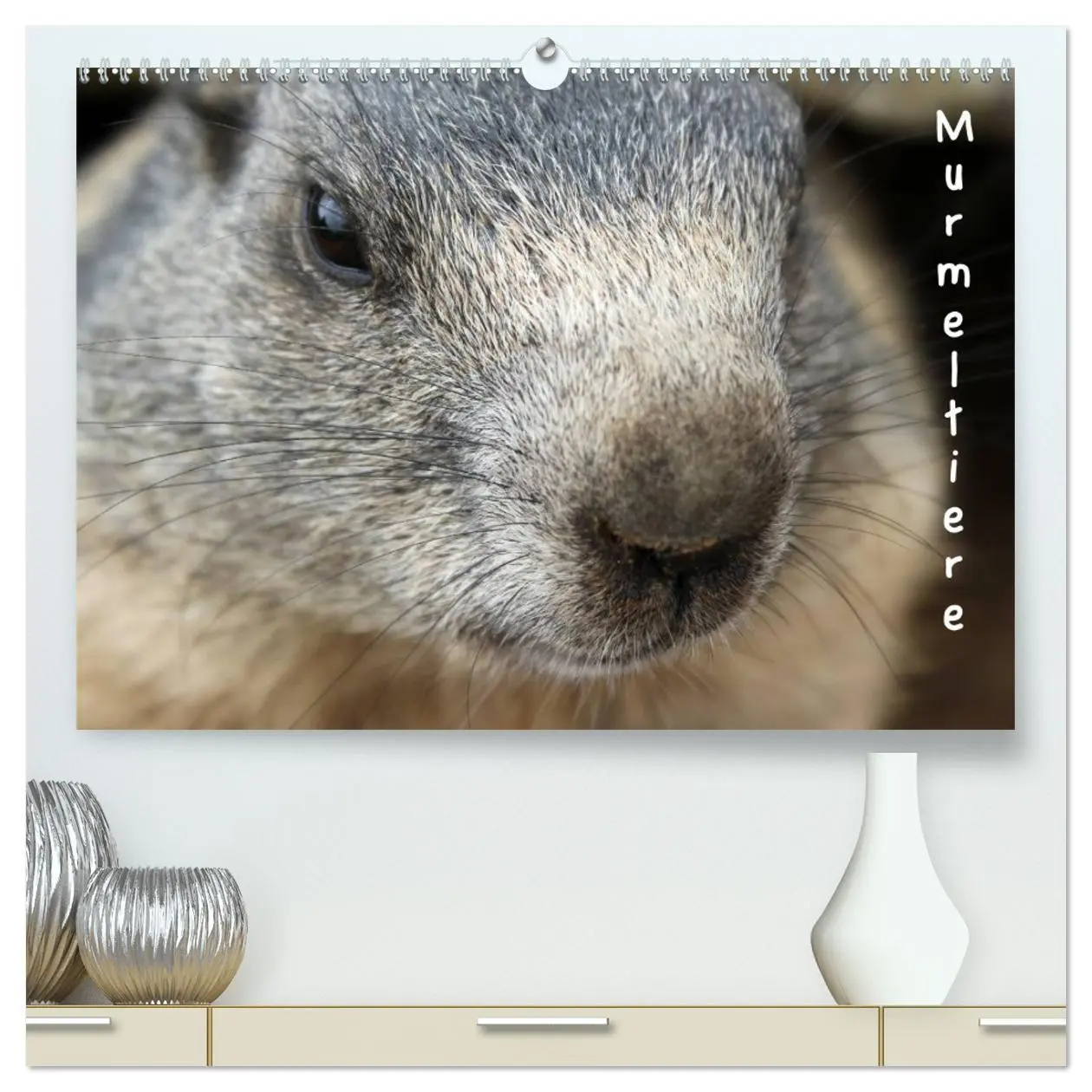 Cover: 9783516178463 | Murmeltiere (hochwertiger Premium Wandkalender 2026 DIN A2 quer),...