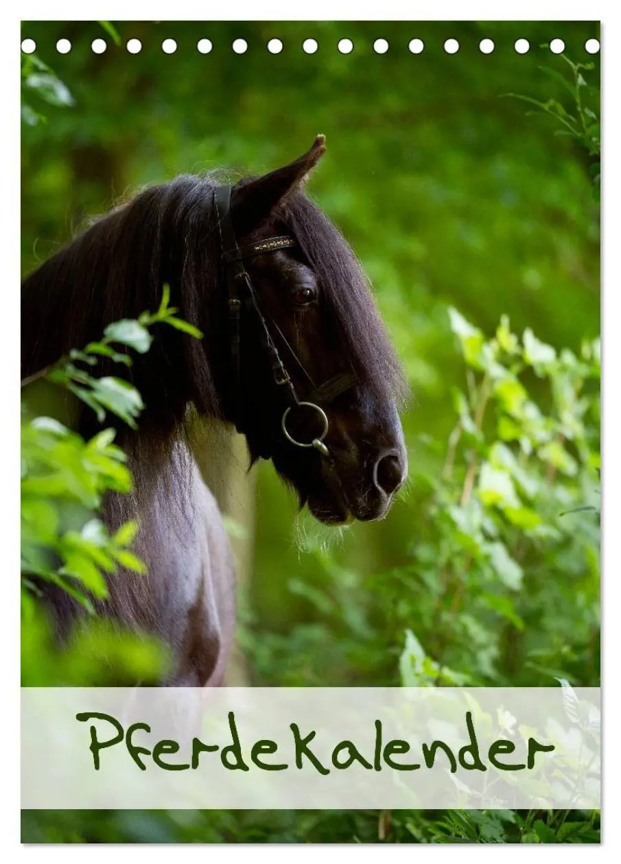Cover: 9783594158463 | Pferdekalender (Tischkalender 2027 DIN A5 hoch), CALVENDO...