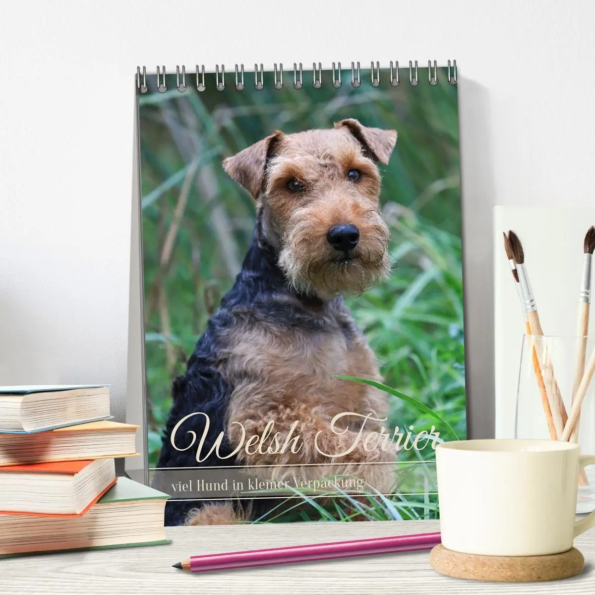 Bild: 9783594398463 | Welsh Terrier - viel Hund in kleiner Verpackung (Tischkalender 2027...