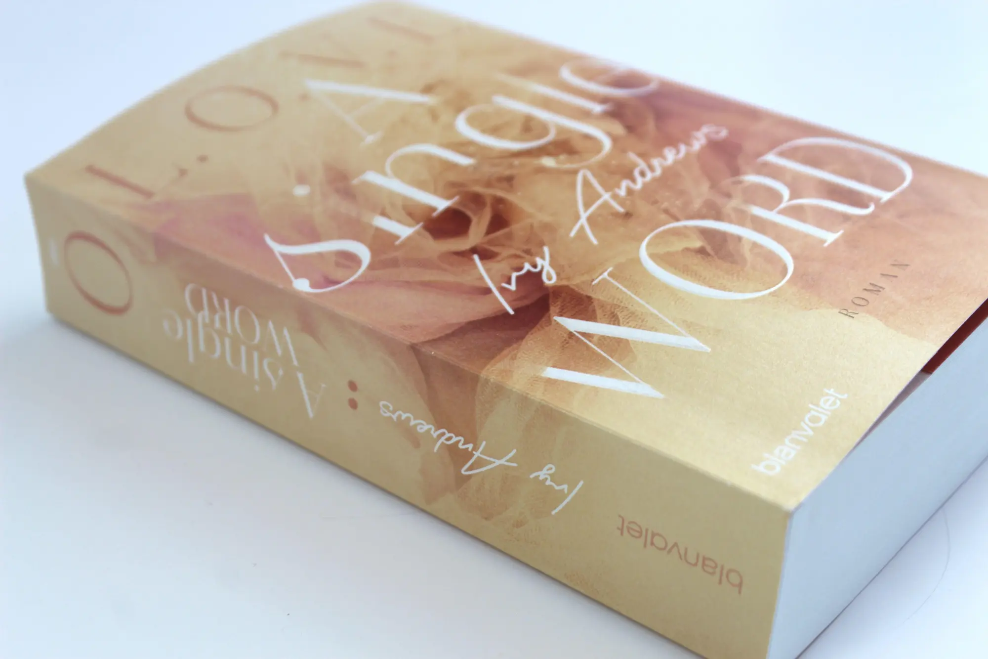 Bild: 9783734108563 | A single word | Roman | Ivy Andrews | Taschenbuch | L.O.V.E | 512 S.