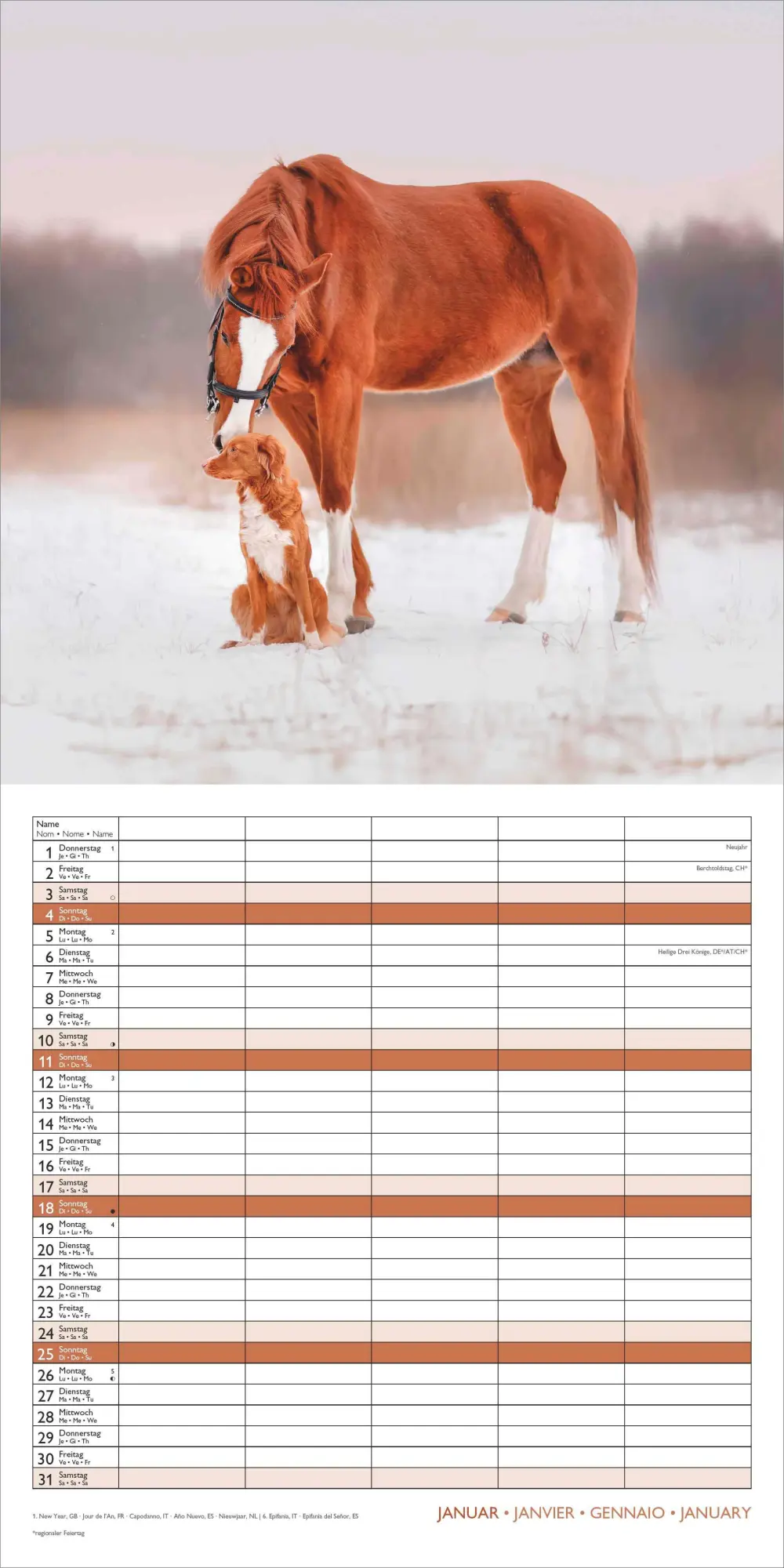 Bild: 4069095008663 | Familienplaner Beste Freunde 2026 - Broschürenkalender im Format 30...