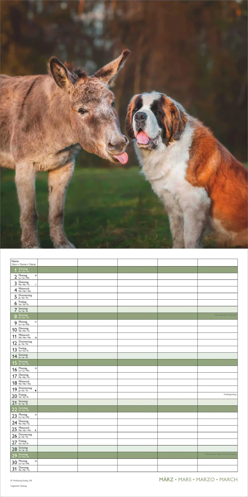 Bild: 4069095008663 | Familienplaner Beste Freunde 2026 - Broschürenkalender im Format 30...
