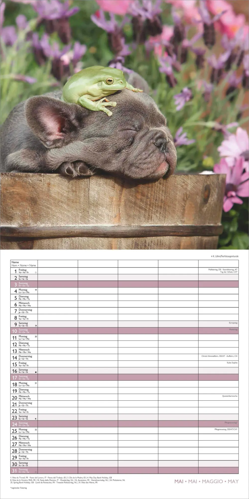 Bild: 4069095008663 | Familienplaner Beste Freunde 2026 - Broschürenkalender im Format 30...