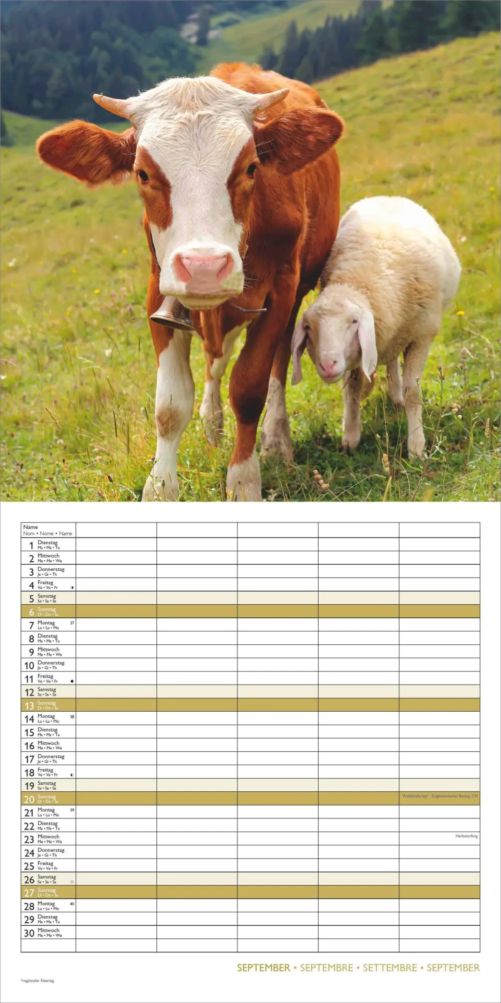 Bild: 4069095008663 | Familienplaner Beste Freunde 2026 - Broschürenkalender im Format 30...