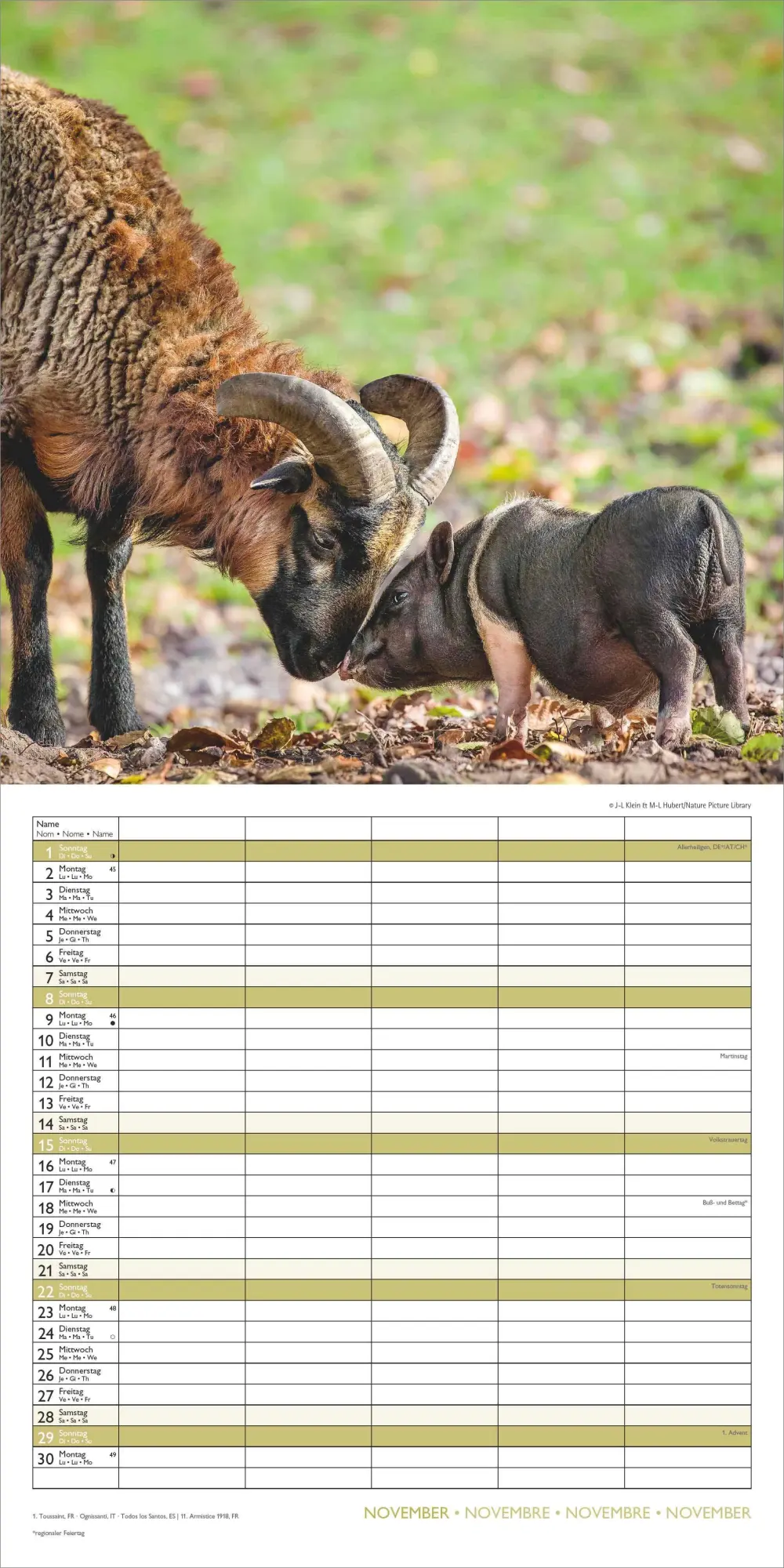 Bild: 4069095008663 | Familienplaner Beste Freunde 2026 - Broschürenkalender im Format 30...
