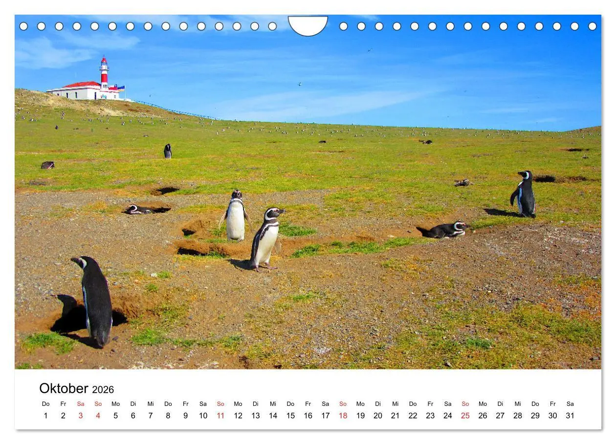 Bild: 9783457378663 | Südamerika - Vom Reich der Inka bis nach Patagonien (Wandkalender...