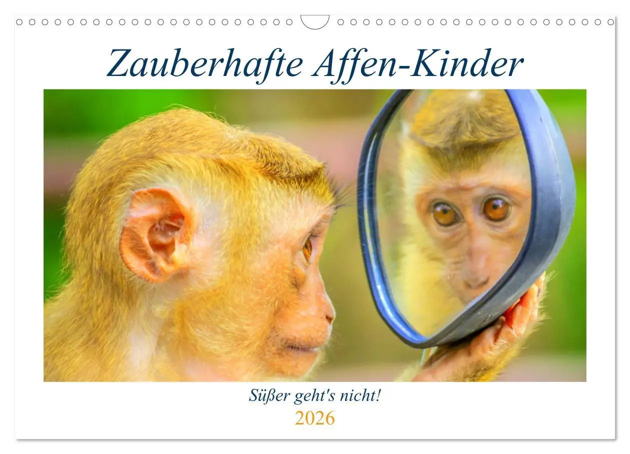 Cover: 9783457748763 | Zauberhafte Affenkinder. Süßer geht´s nicht! (Wandkalender 2026 DIN...