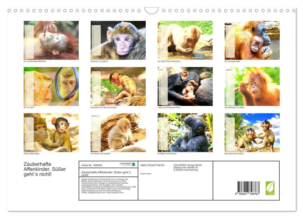 Bild: 9783457748763 | Zauberhafte Affenkinder. Süßer geht´s nicht! (Wandkalender 2026 DIN...