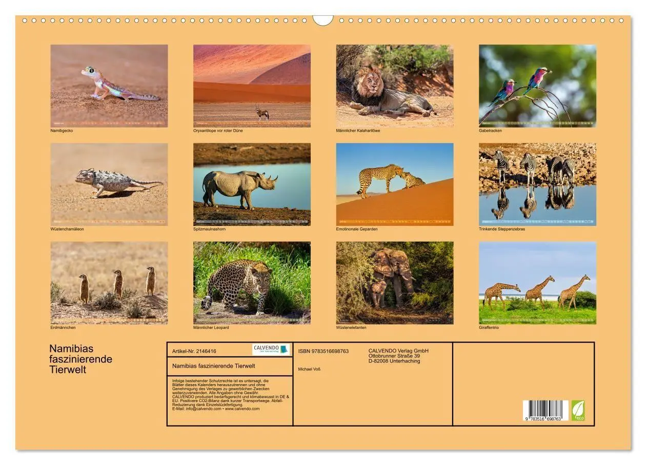 Bild: 9783516698763 | Namibias faszinierende Tierwelt (Wandkalender 2026 DIN A2 quer),...