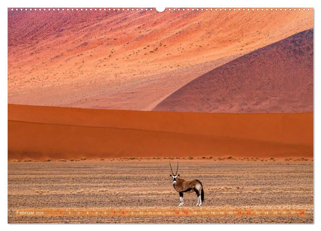Bild: 9783516698763 | Namibias faszinierende Tierwelt (Wandkalender 2026 DIN A2 quer),...