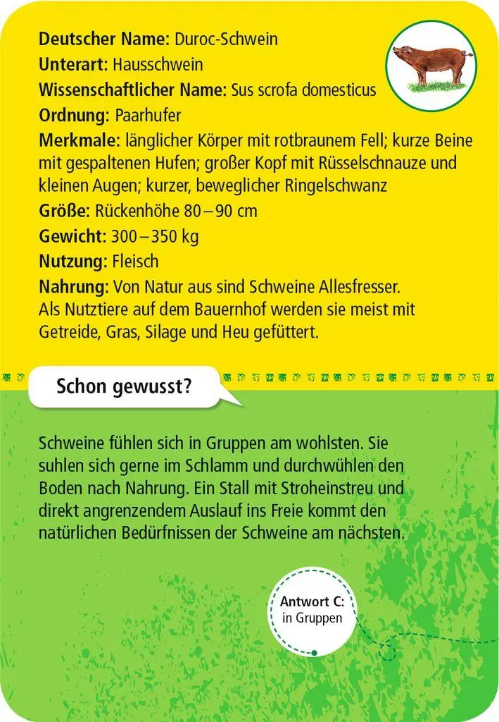 Bild: 4033477098863 | 50 Tiere auf dem Bauernhof | erkennen &amp; bestimmen | Carola von Kessel