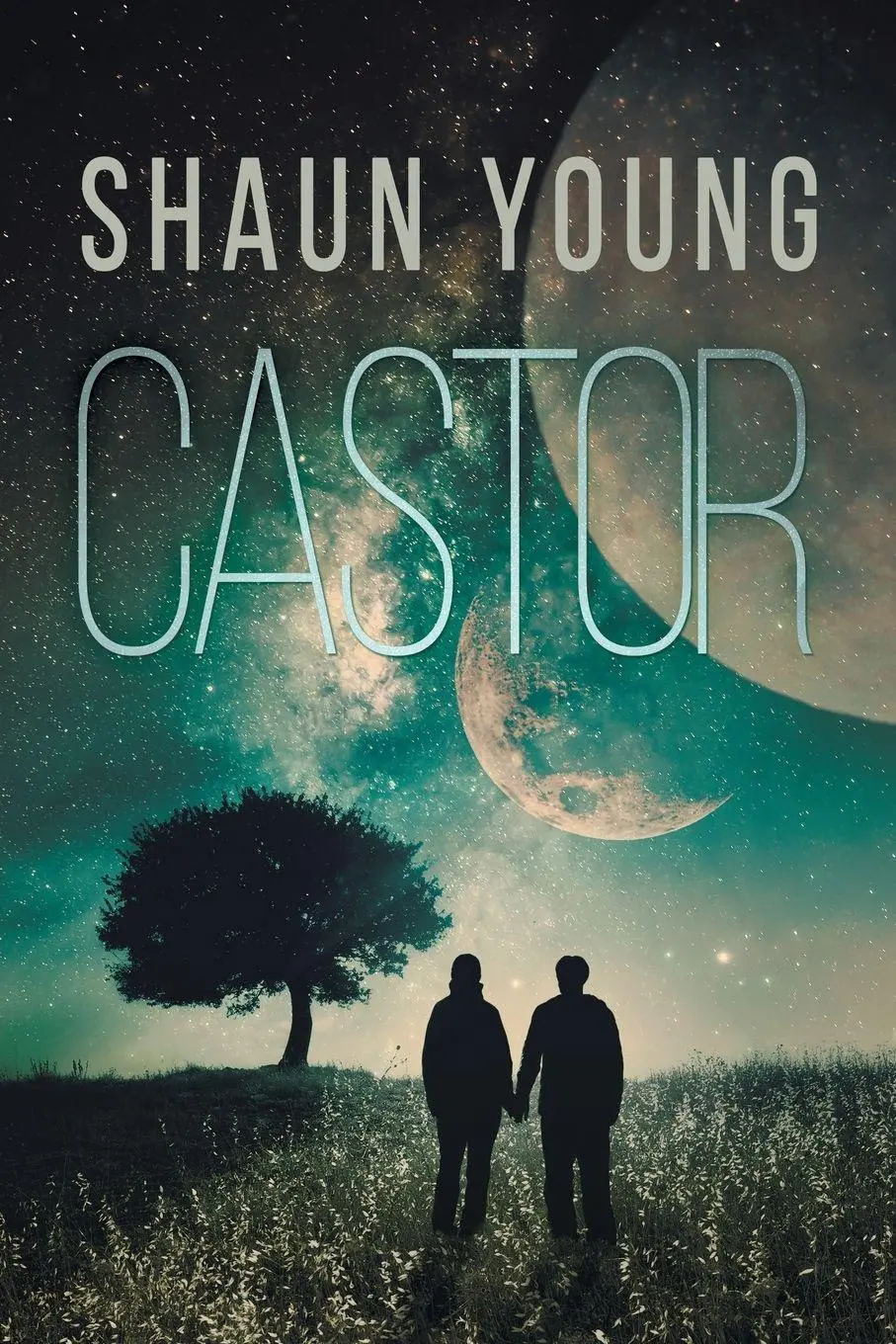 Cover: 9781634768863 | Castor | Shaun Young | Taschenbuch | Englisch | 2016