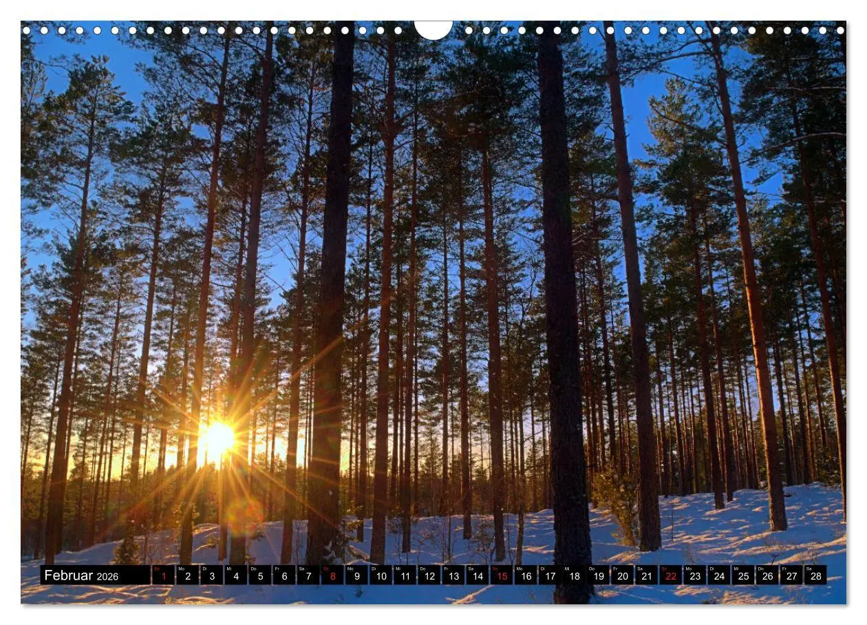 Bild: 9783457808863 | Reiseland Schweden (Wandkalender 2026 DIN A3 quer), CALVENDO...