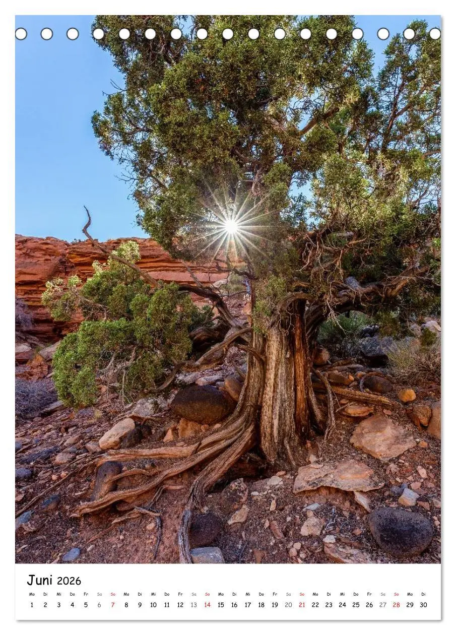 Bild: 9783516448863 | Eine Reise durch die Canyons der USA (Tischkalender 2026 DIN A5...