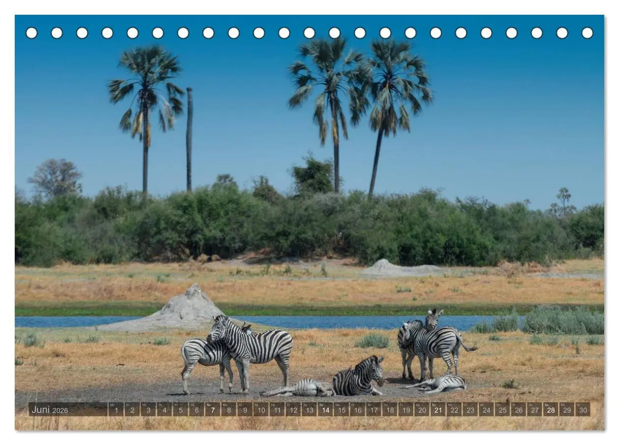 Bild: 9783516058963 | Botswana - Landschaft und Tierwelt (Tischkalender 2026 DIN A5...