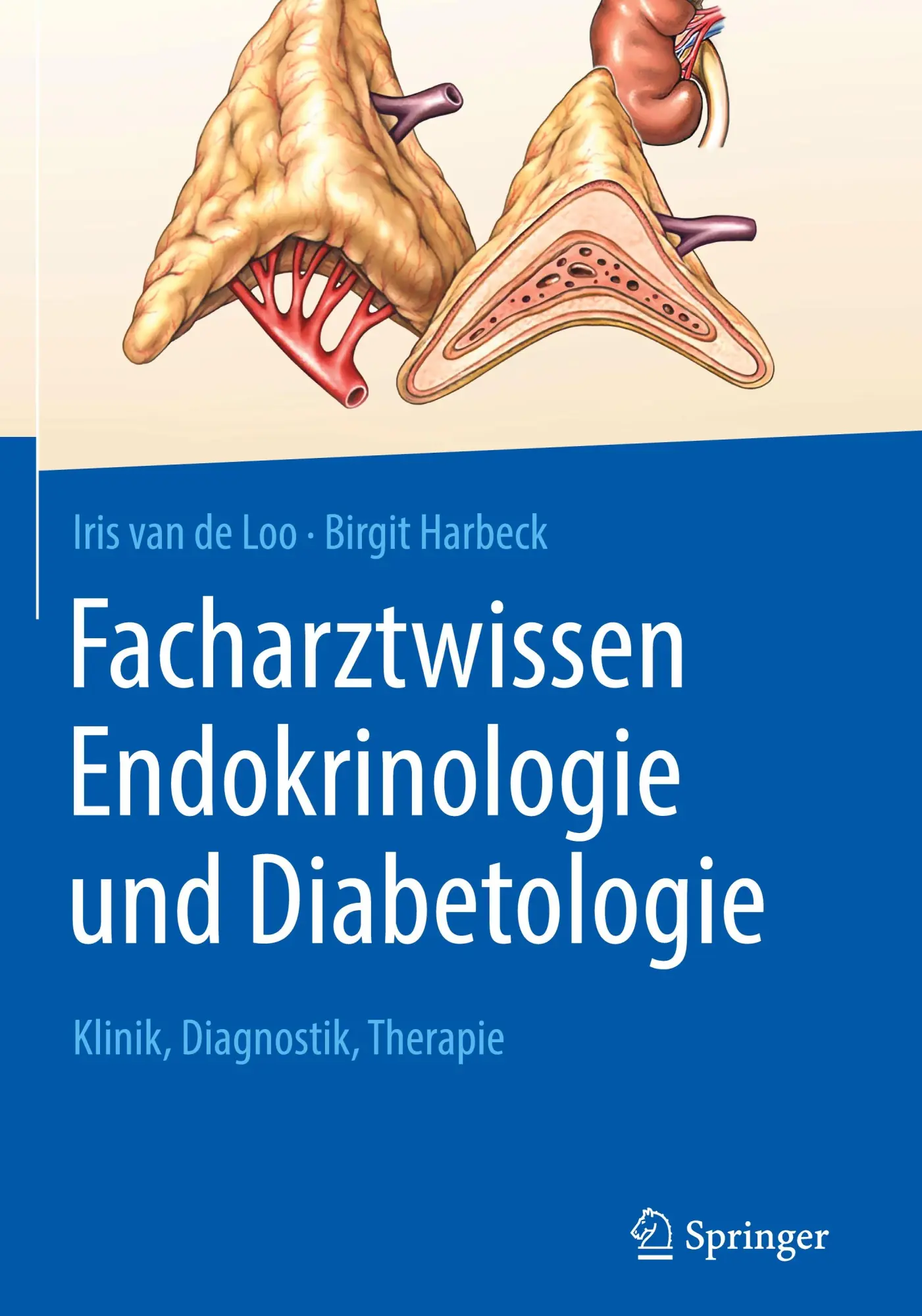 Cover: 9783662588963 | Facharztwissen Endokrinologie und Diabetologie | Loo (u. a.) | Buch Cover: 9783662588963 | Facharztwissen Endokrinologie und Diabetologie | Loo (u. a.) | Buch