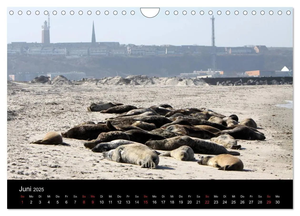 Bild: 9783435769063 | Helgoland (Wandkalender 2025 DIN A4 quer), CALVENDO Monatskalender