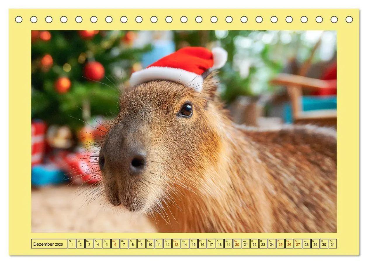 Bild: 9783516709063 | Capybaras on Tour. Wasserschweine als Weltenbummler (Tischkalender...