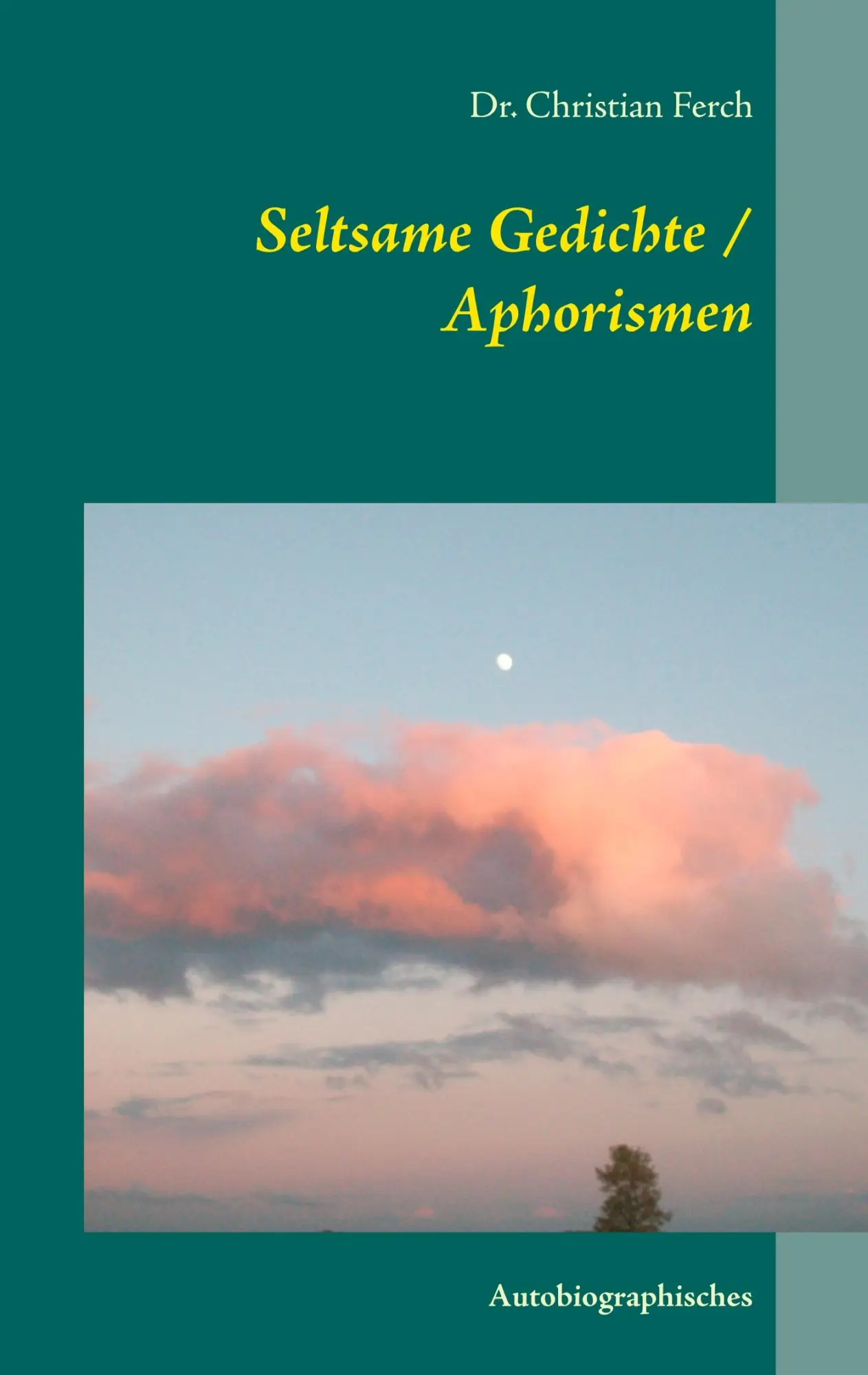 Cover: 9783735739063 | Seltsame Gedichte / Aphorismen | Autobiographisches | Christian Ferch