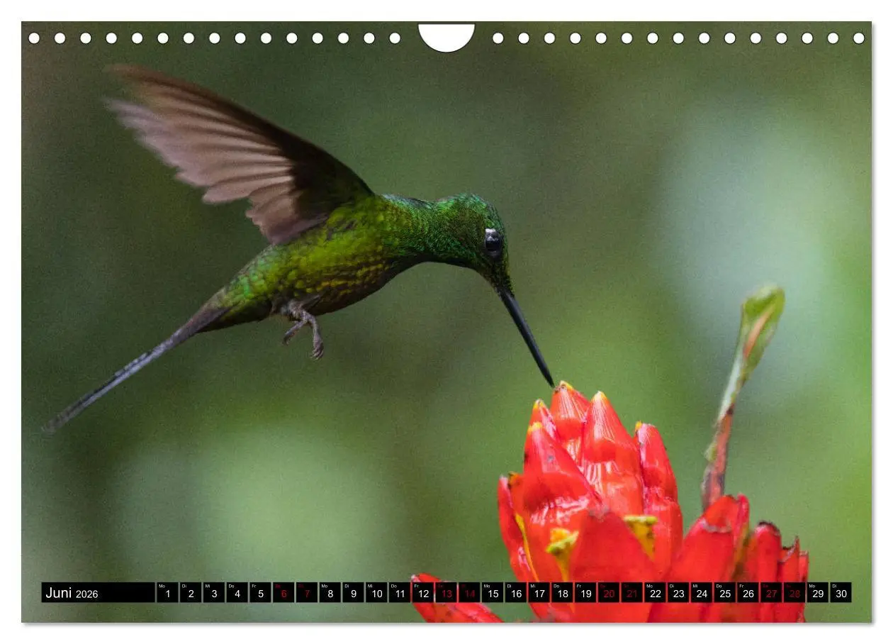 Bild: 9783457849163 | Traumwelt Ecuador (Wandkalender 2026 DIN A4 quer), CALVENDO...