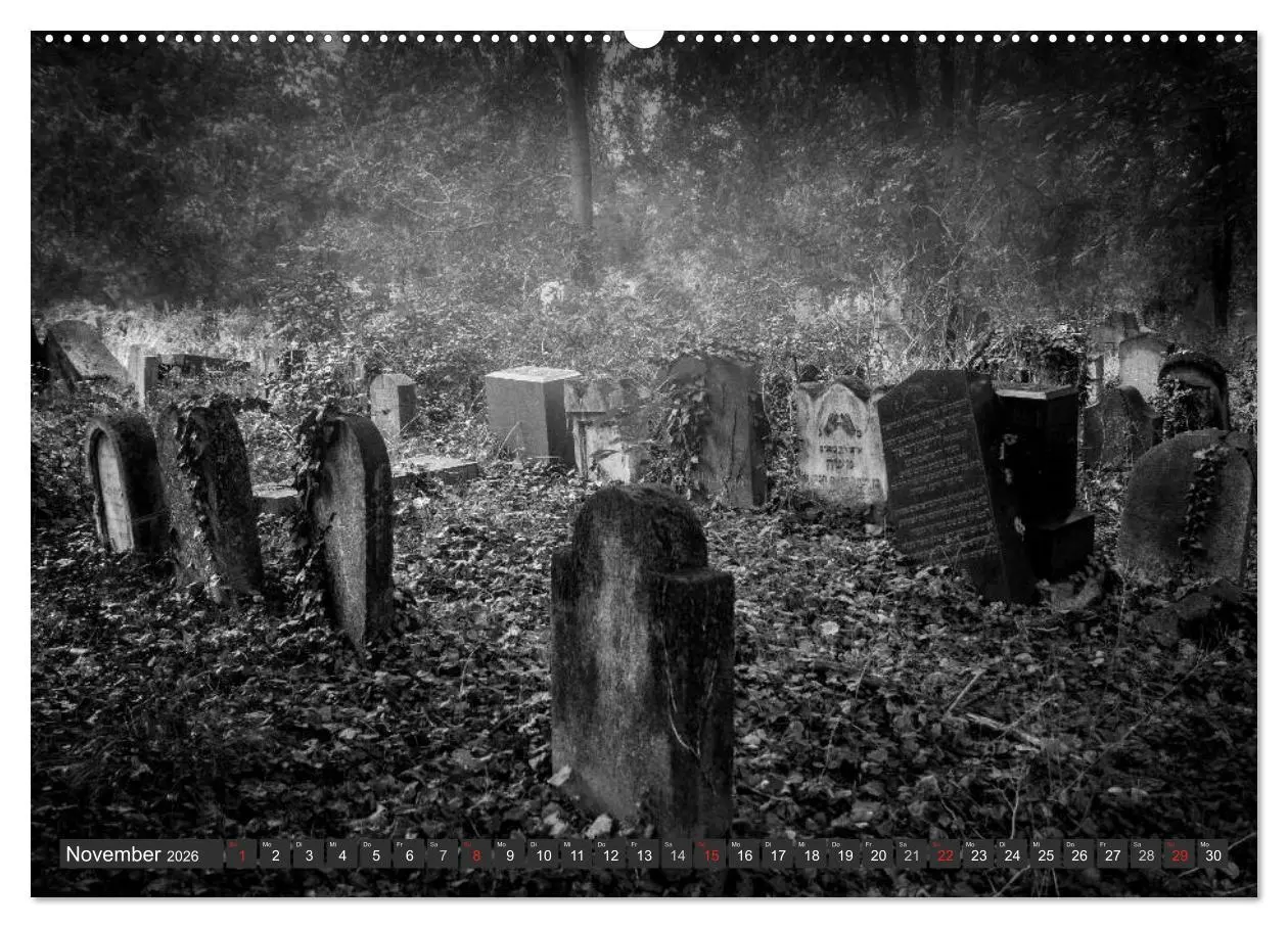 Bild: 9783516009163 | Morbide Zeitzeugen - Orte der Vergänglichkeit (Wandkalender 2026...
