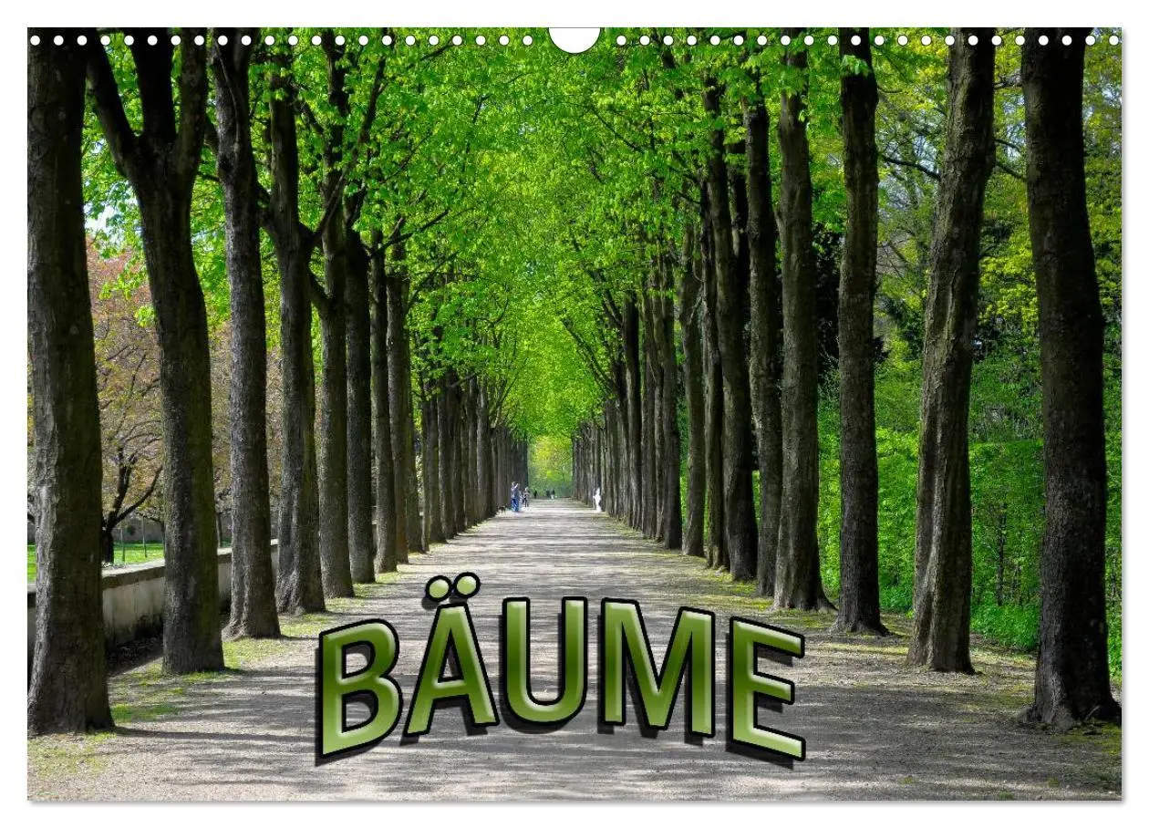 Cover: 9783516179163 | Bäume 2026 (Wandkalender 2026 DIN A3 quer), CALVENDO Monatskalender