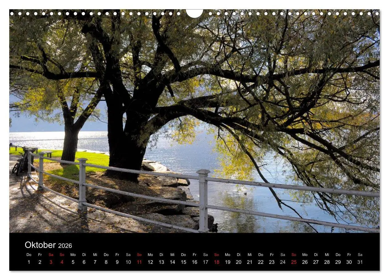 Bild: 9783516179163 | Bäume 2026 (Wandkalender 2026 DIN A3 quer), CALVENDO Monatskalender