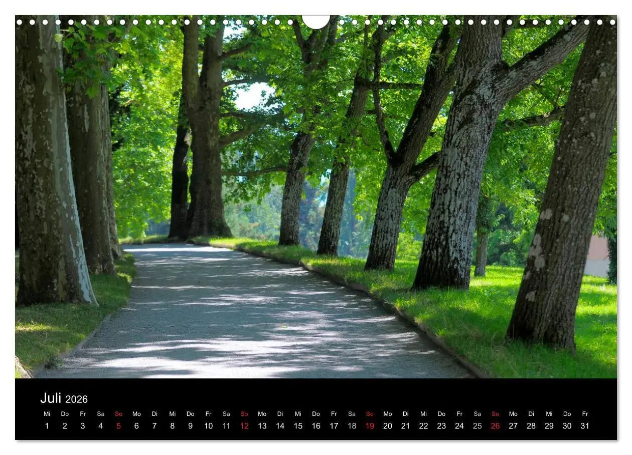 Bild: 9783516179163 | Bäume 2026 (Wandkalender 2026 DIN A3 quer), CALVENDO Monatskalender