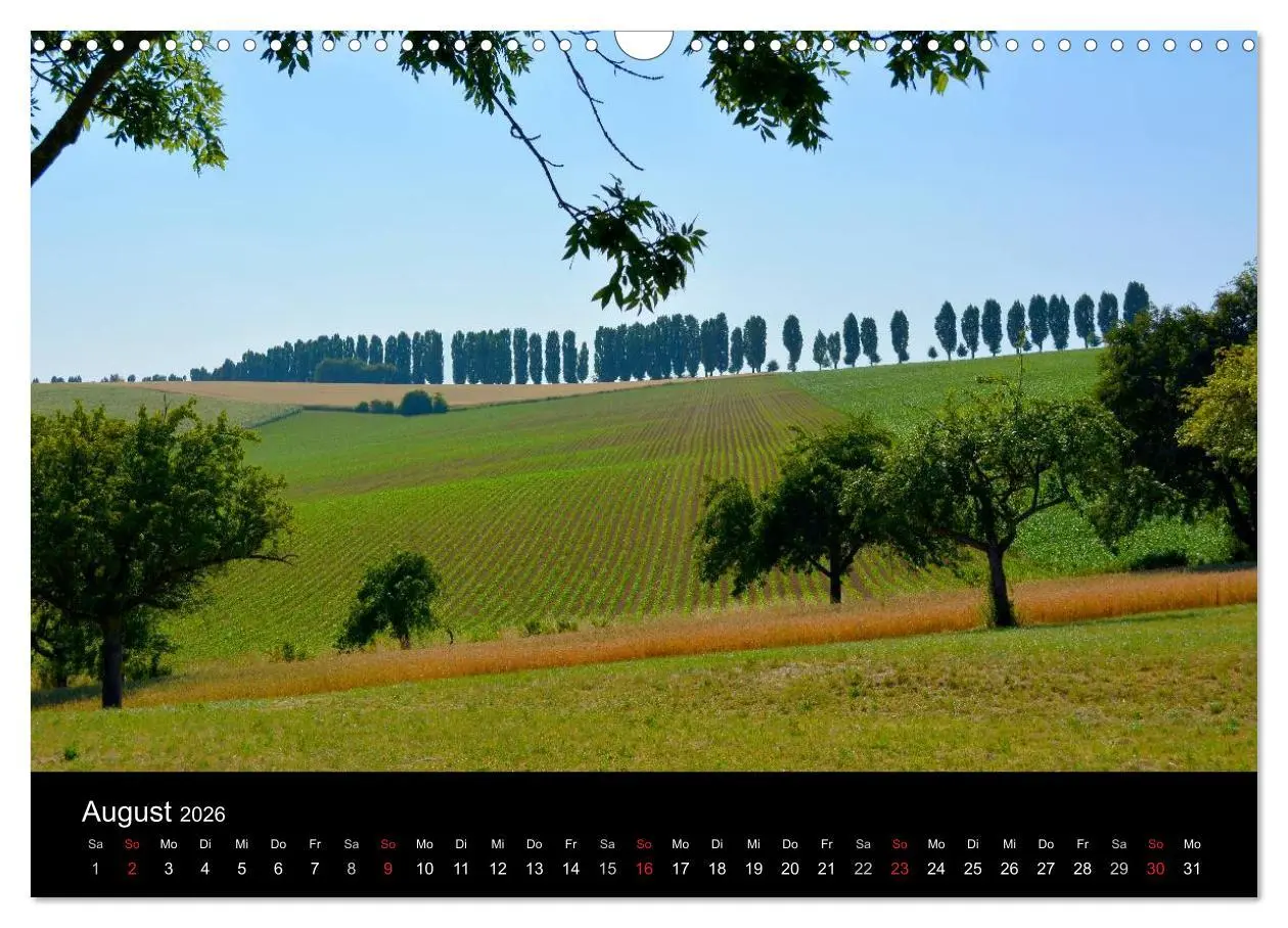 Bild: 9783516179163 | Bäume 2026 (Wandkalender 2026 DIN A3 quer), CALVENDO Monatskalender