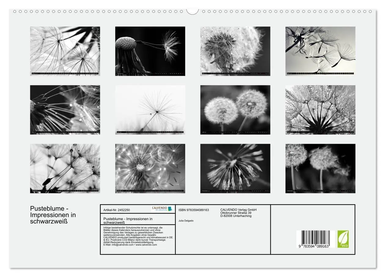 Bild: 9783594089163 | Pusteblume - Impressionen in schwarzweiß (hochwertiger Premium...