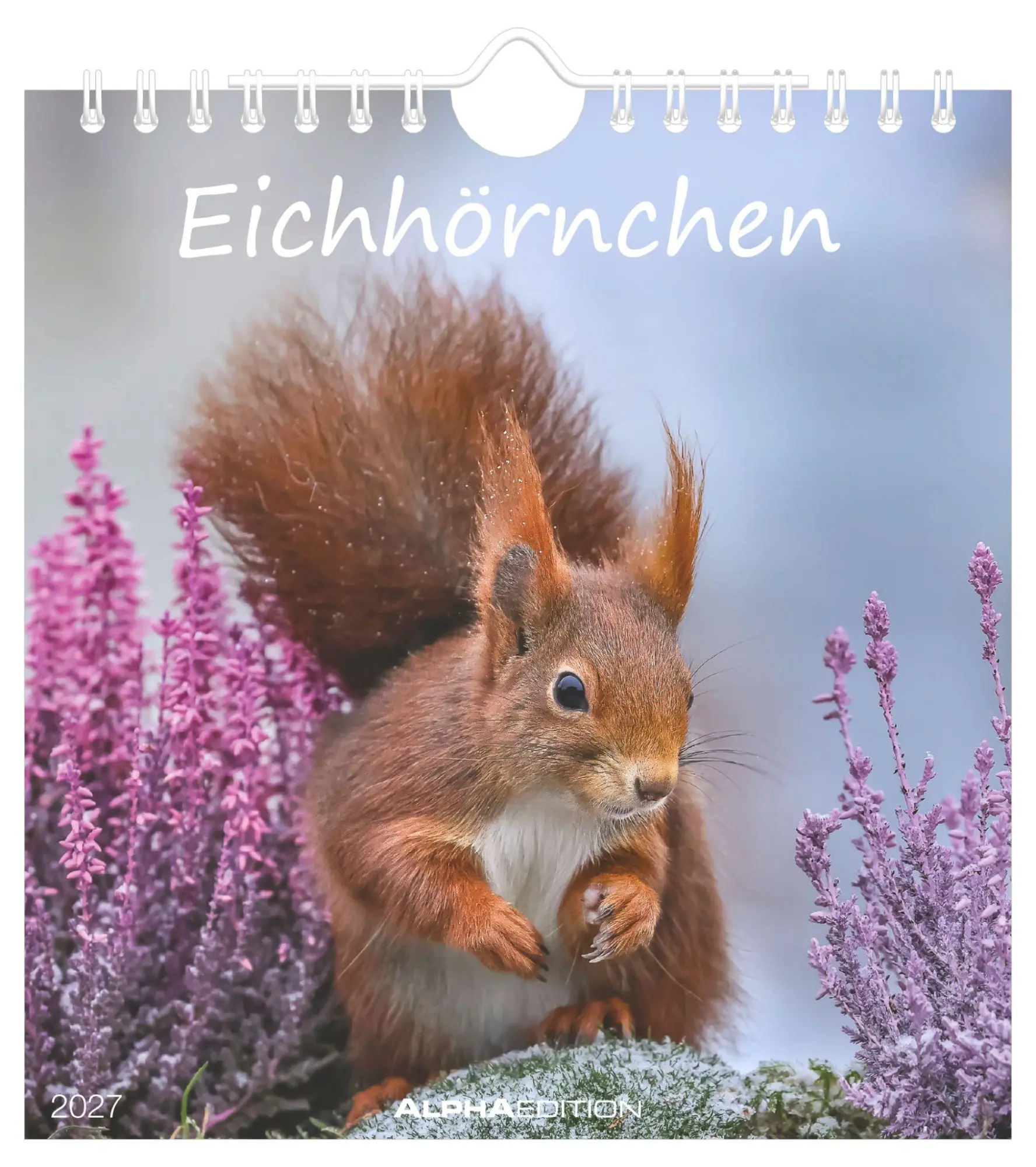 Cover: 4069095019263 | Eichhörnchen 2027 | Neumann Verlage GmbH &amp; Co KG | Kalender | 14 S.