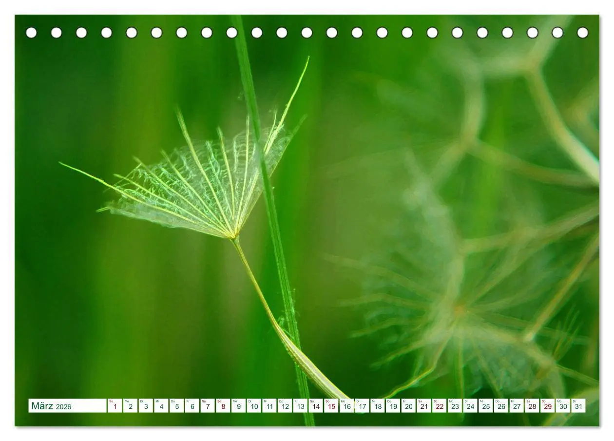 Bild: 9783457769263 | GRÜN . Die Kraft der Natur (Tischkalender 2026 DIN A5 quer),...