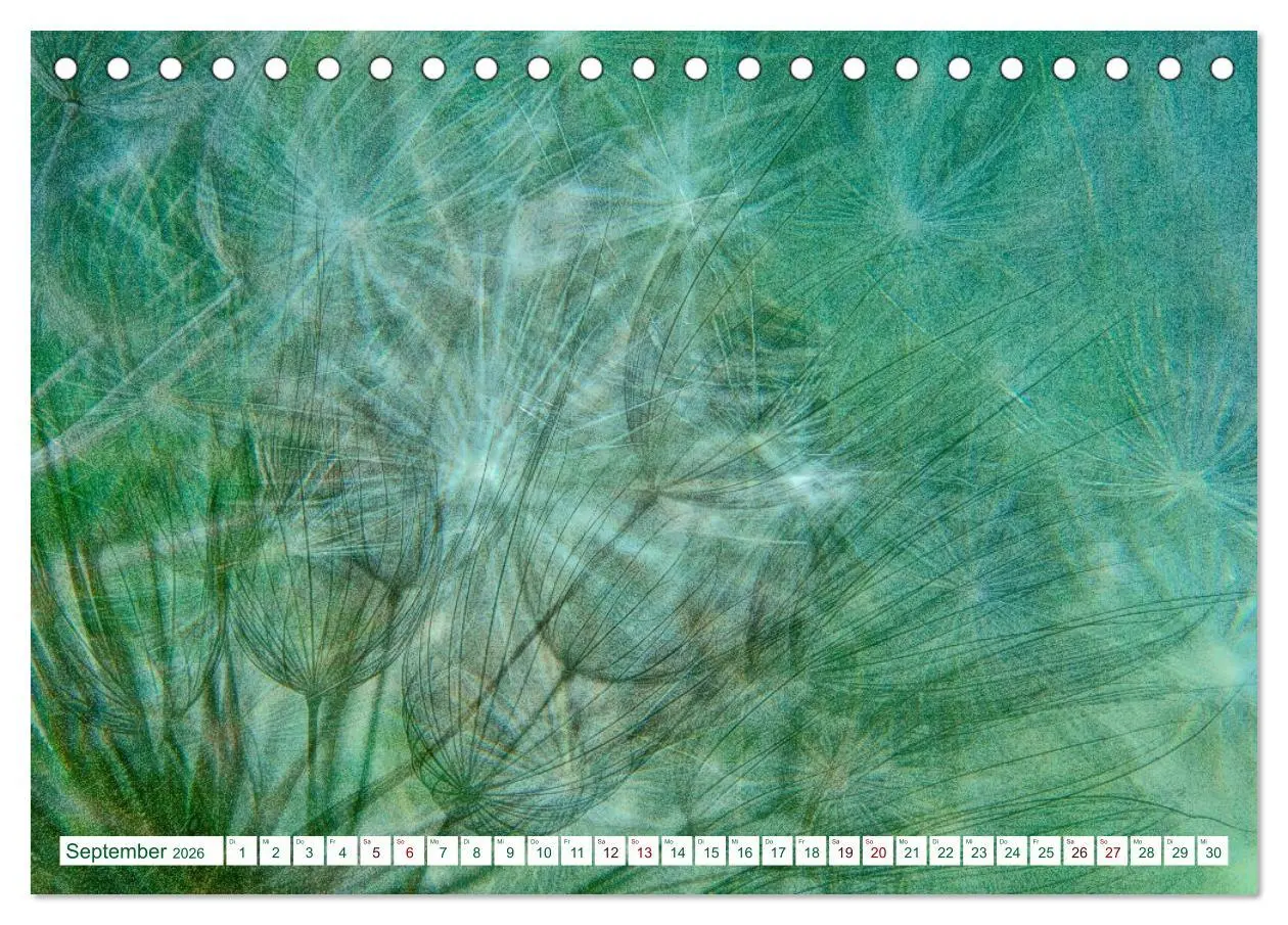 Bild: 9783457769263 | GRÜN . Die Kraft der Natur (Tischkalender 2026 DIN A5 quer),...