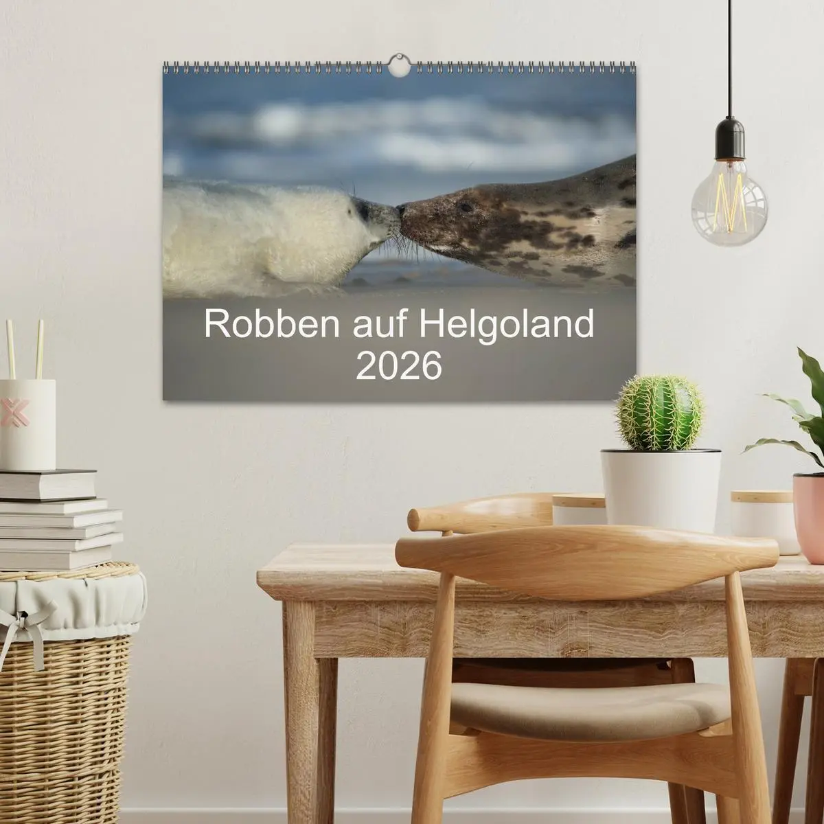 Bild: 9783516239263 | Robben auf Helgoland 2026 (Wandkalender 2026 DIN A3 quer), CALVENDO...